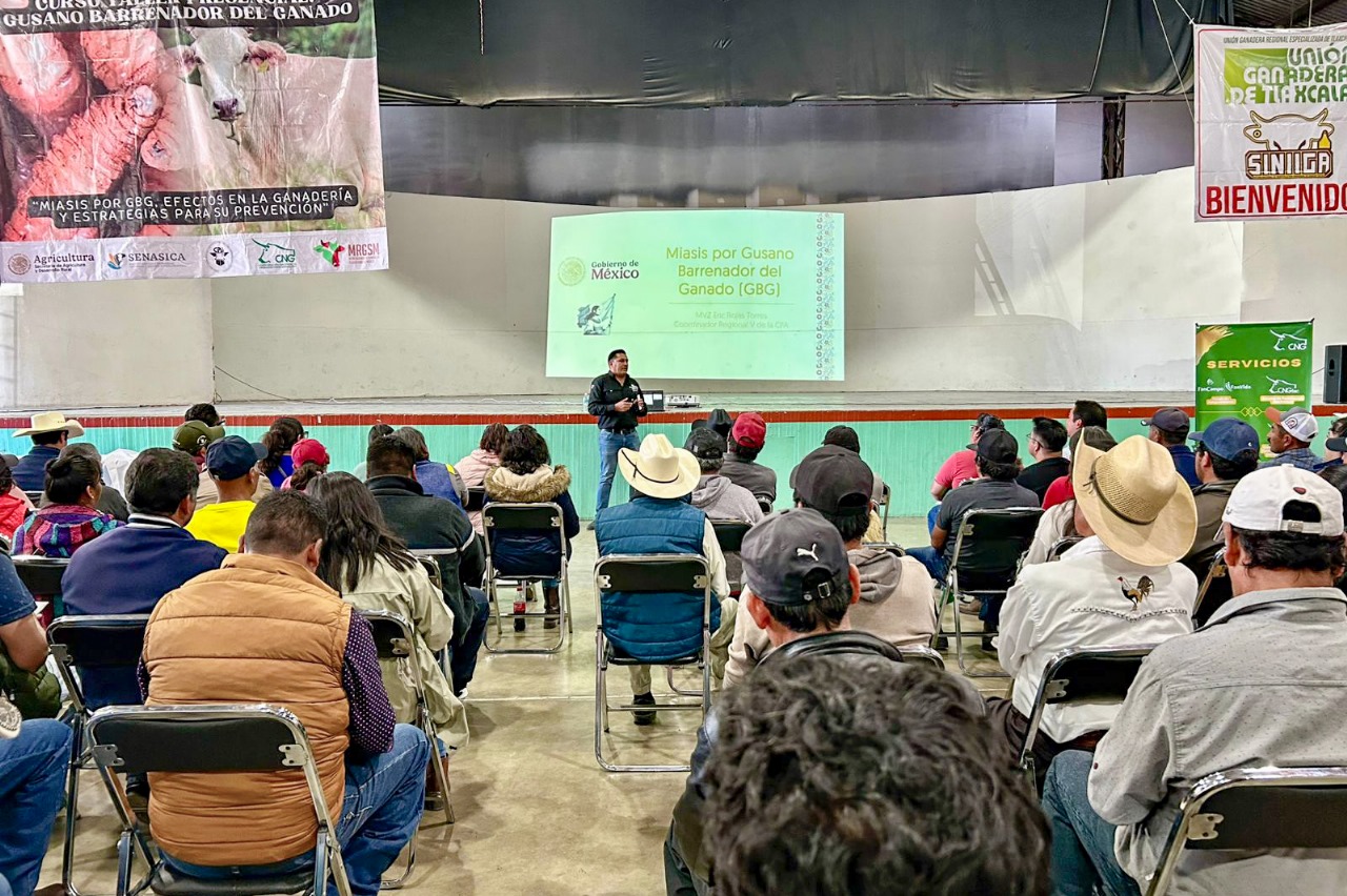 Reciben ganaderos de Huamantla capacitación para prevenir presencia de gusano barrenador